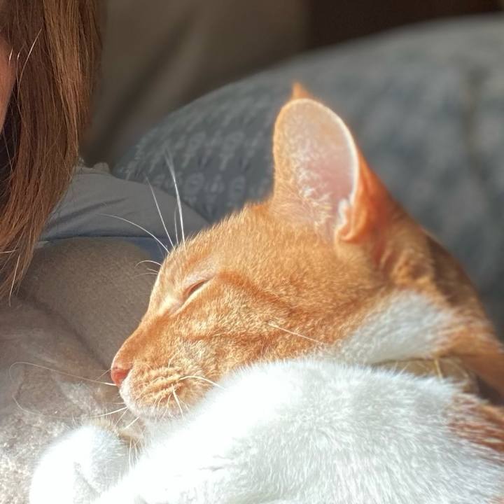 5776c8a1 a303 492a 8366 666a70d0118f 1737881586883