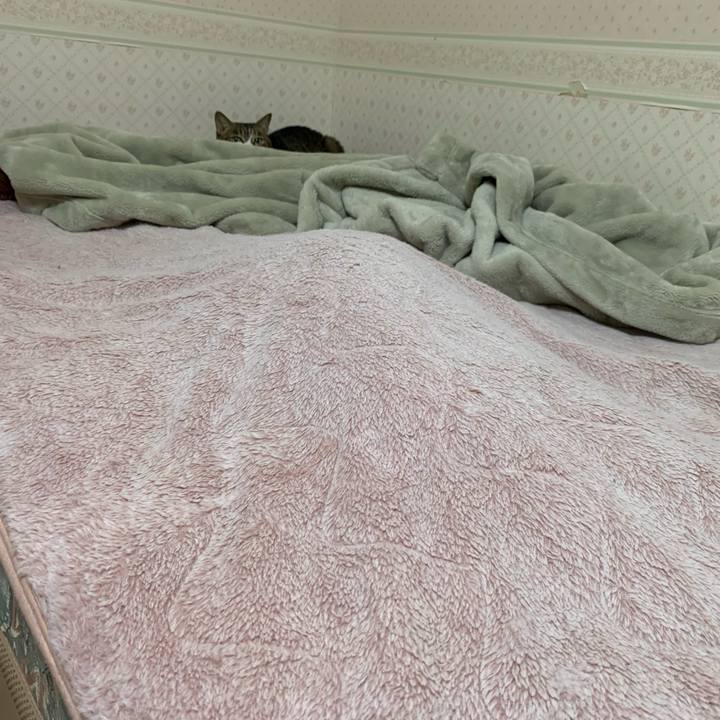 5776ef83 b1df 4189 9161 1f5b640a77d4 1640428809728