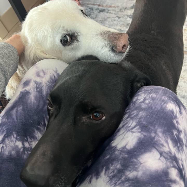 57773aca 31bc 49bb 8c45 b5022b7a5059 1773961641606