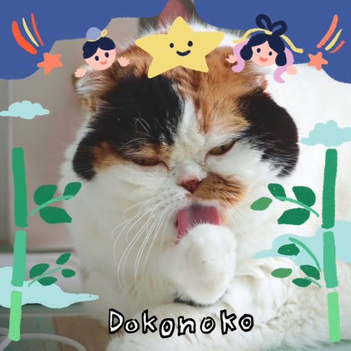 577765ae cef9 42b8 93ca f66ce322f4e9 1720762965023