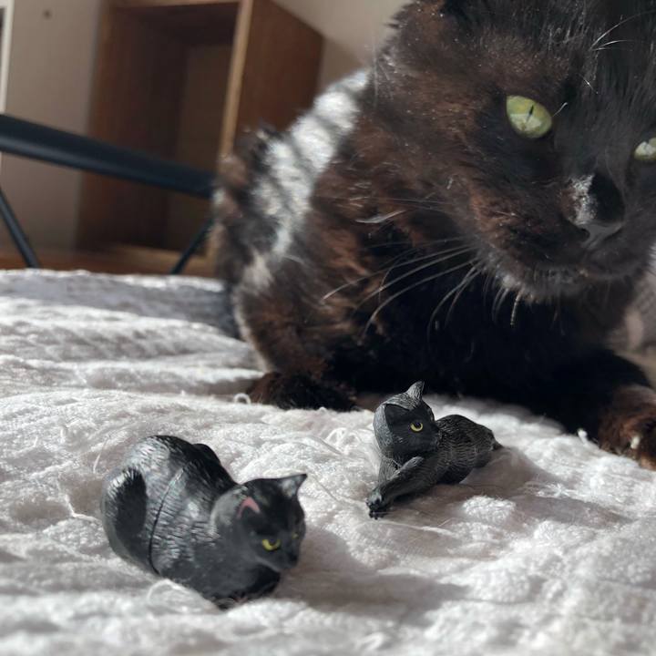 57776745 7990 4411 ba47 61c5bd6b6bef 1624743100931