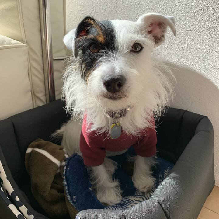 57776ca0 d363 4c06 8e94 32086cc0abb3 1573007826539