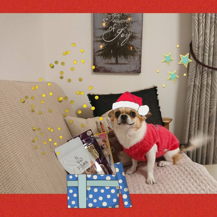 577773fb 61d5 4b43 b140 73bb1cd97390 1608789480138