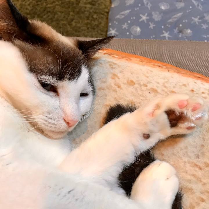 57778529 c668 4de7 bbeb c5232b0d4ded 1582802835942