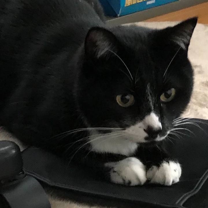 57778ecc 59a2 492f bbc9 629a753e98ff 1675654091192