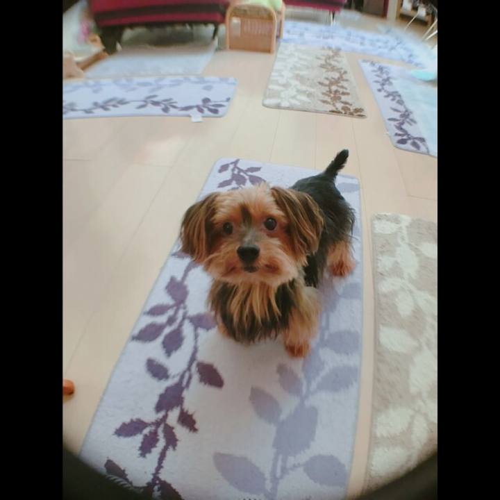 5777b7ec b5f1 452c a48d f3deededa6ae 1536141161493