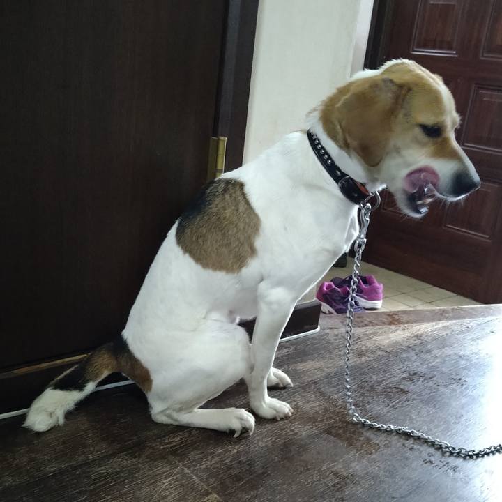 5777cba7 6895 4ae3 bedc f2d9088f395e 1619682940787