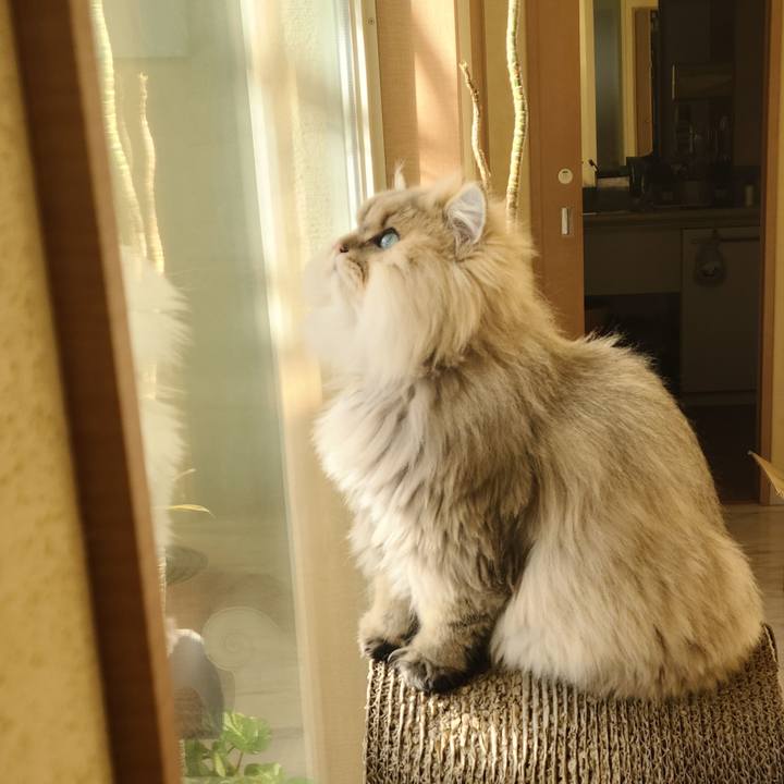 5777d4f7 df5f 4042 9288 52c5f76112d2 1611537167605