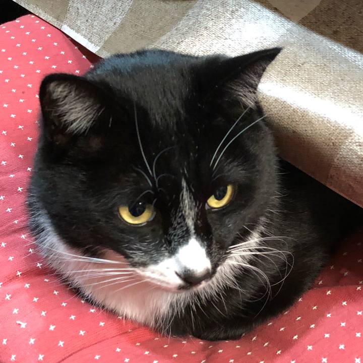 5777fdde a30d 4a67 9260 7d29161c6795 1609819060733