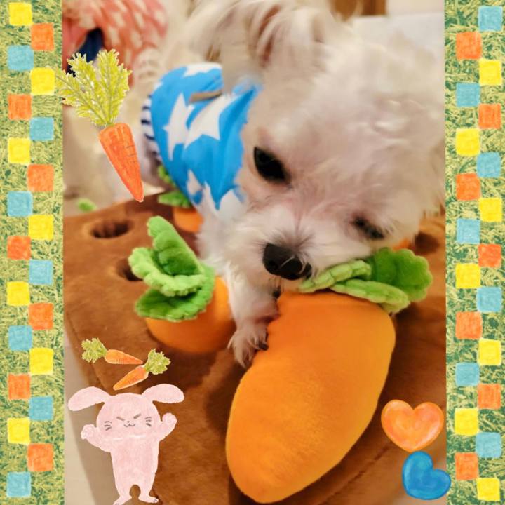 57780624 fe82 4d48 8b03 19cfaf1778bc 1644741944924