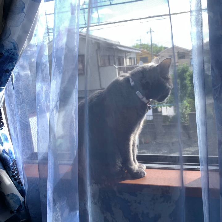 57781534 1cc6 496e aeed e26ba09f29e8 1632010283079