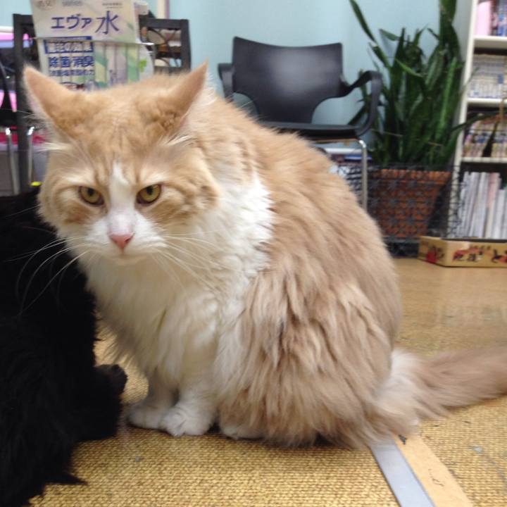 57783bd0 5734 4a7b 9893 815b60a106db 1528074653609