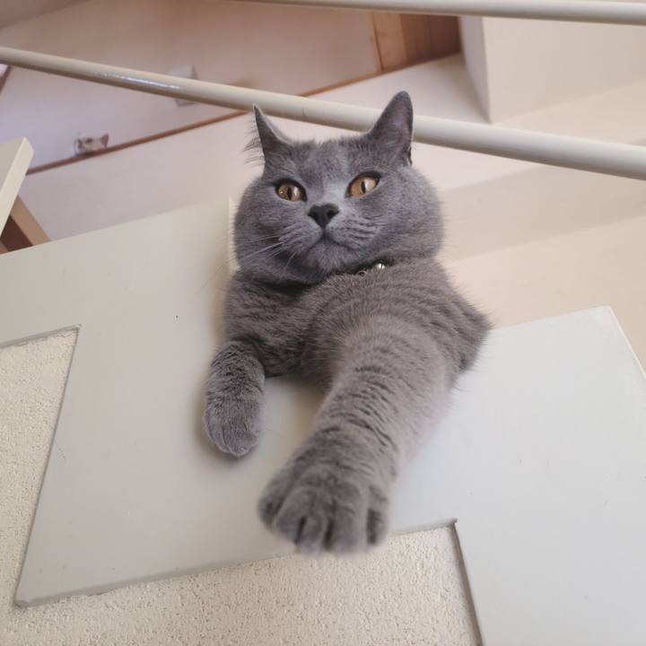 5778a316 0f52 4856 b78f add32a2071e2 1624943126607