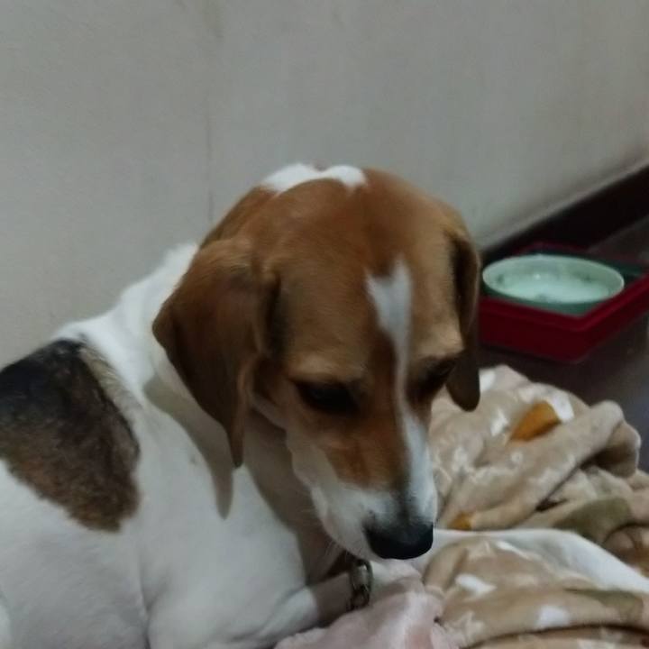 5778aa9f b60f 4769 aa96 ea32fbbe0fa8 1602124430854