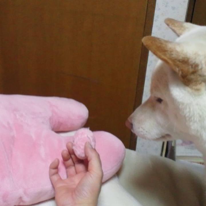 5778bf75 8168 473f 9bdd a771978cd107 1656483452301