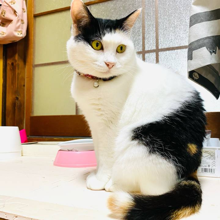 5778cbb6 b94c 4f32 ac41 767d78f34546 1688461202638