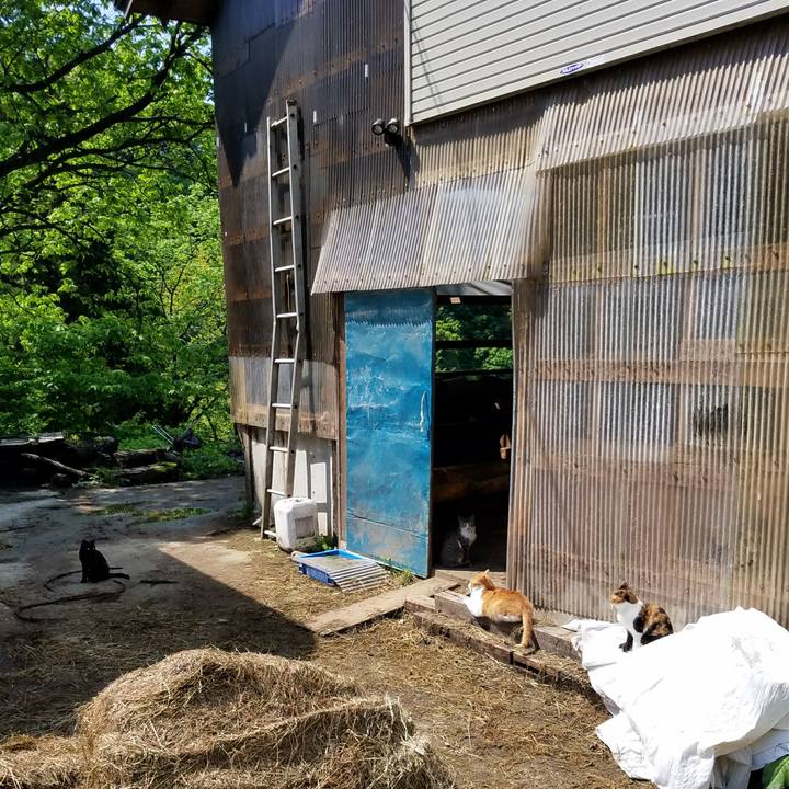 5778d447 4e7a 417d 865c 7c4b759a2787 1526006123507