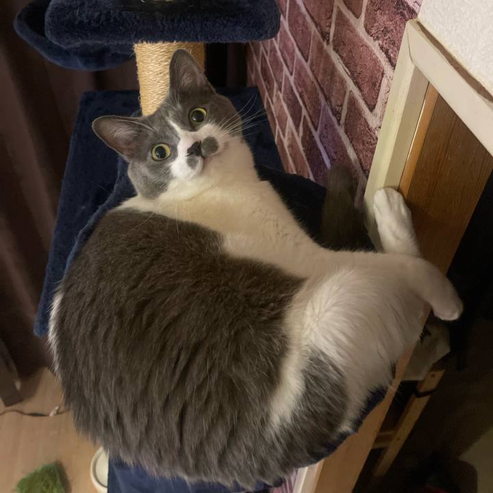 5778dd36 95f1 43e0 b751 00cebe14c62e 1751631342023