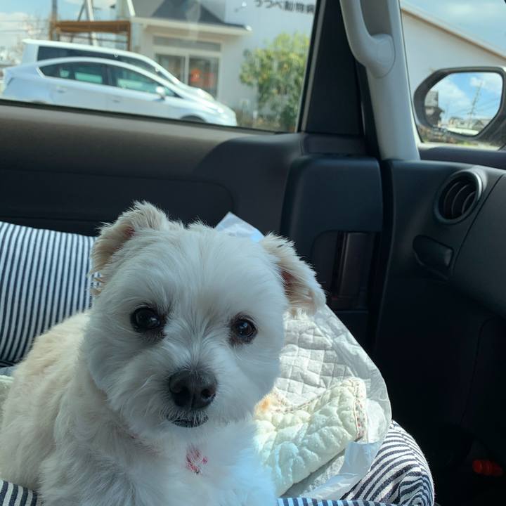 5778e020 a876 4a16 a2f1 00a4b3bce494 1585807024261