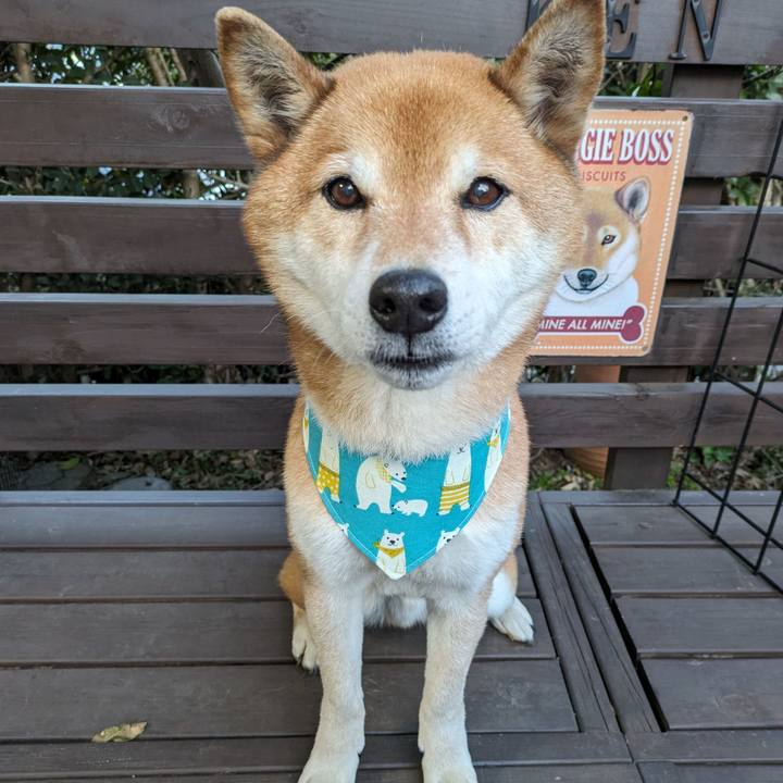 5778f967 0b86 451d a738 9b3f14305598 1709694606265