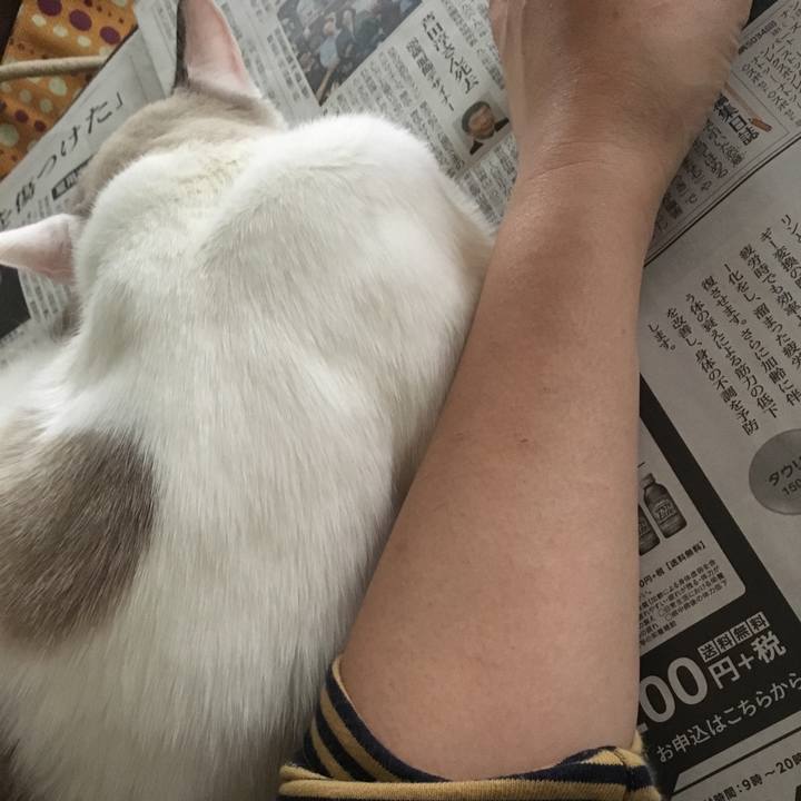 57791419 8fff 41f9 9693 3b4f20d981d5 1540261302072