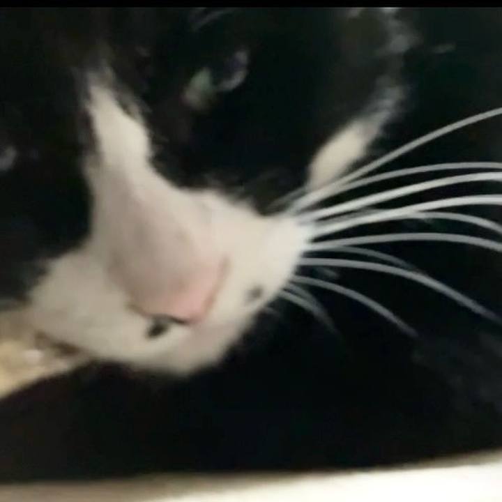 57792162 1c77 4ded 9201 40be21c4928a 1731837285558