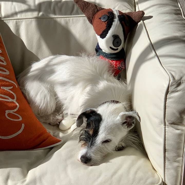 57797583 b963 4d13 a17b a44c7cd7abe0 1702696195830