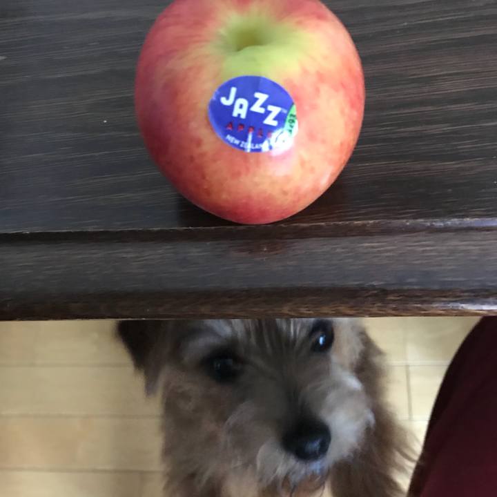 57797b46 9958 4f3e b195 81150b28f4ff 1527109983879