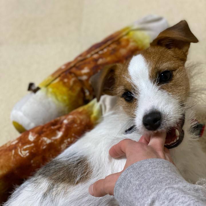 57798535 365b 4df8 967a bb6fa90722c4 1641474119915