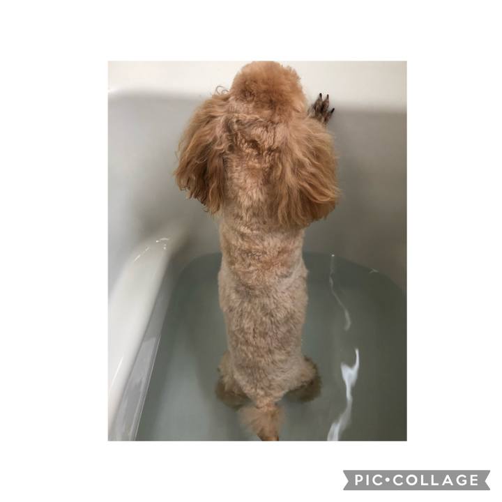 57799169 f0c8 46b5 bfc9 a4cac1192b40 1630375649810