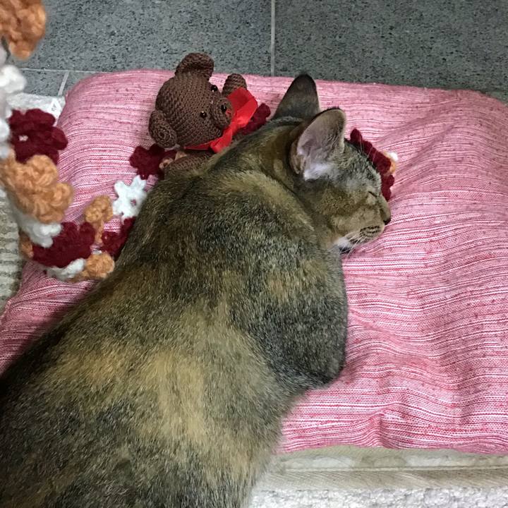 5779c818 5e58 45d9 a468 445fb447cfda 1575368935012