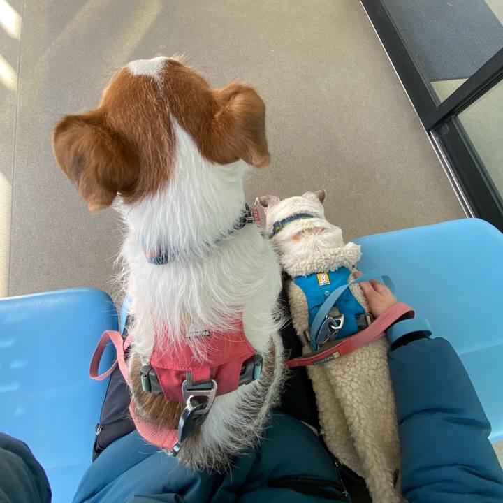 5779d14b a7ed 4c54 9929 2297ec69f928 1705111823895