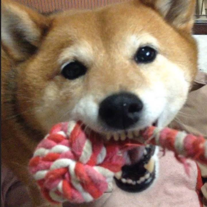 577a10e2 bf42 4d91 810d 3b4ead06766a 1538737759860