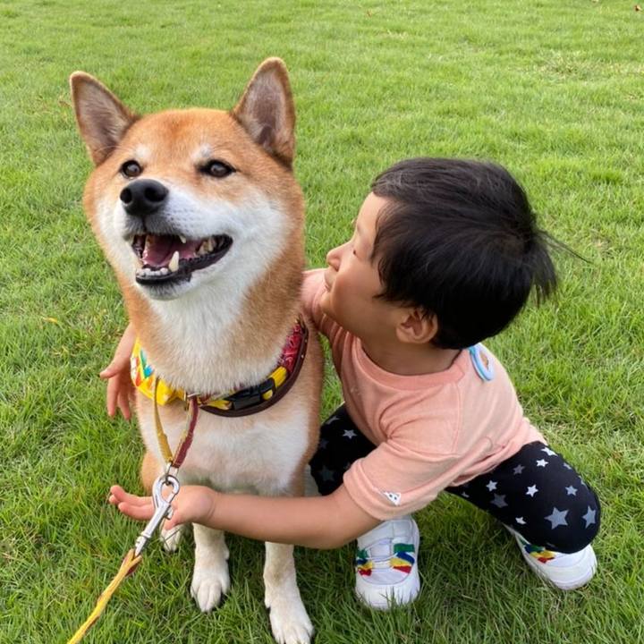 577a233f 1edf 4904 878b 88a9712b47a2 1602774360895