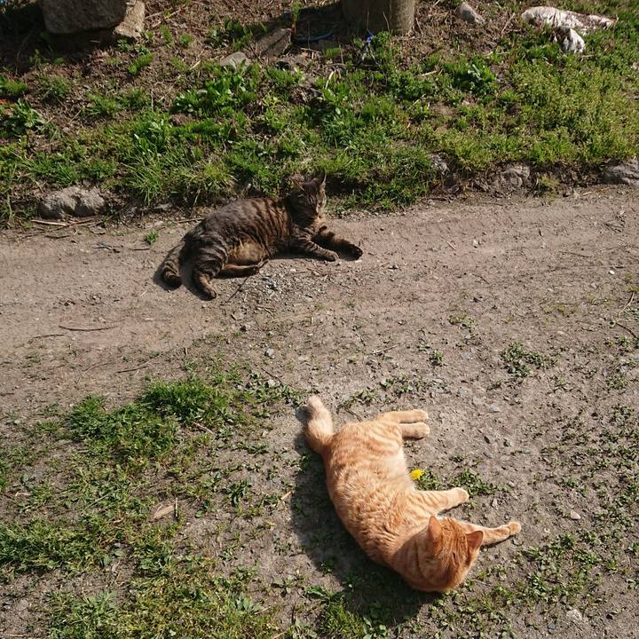 577a2f79 2fbe 4153 ae7e 798a397e2de8 1650889058736