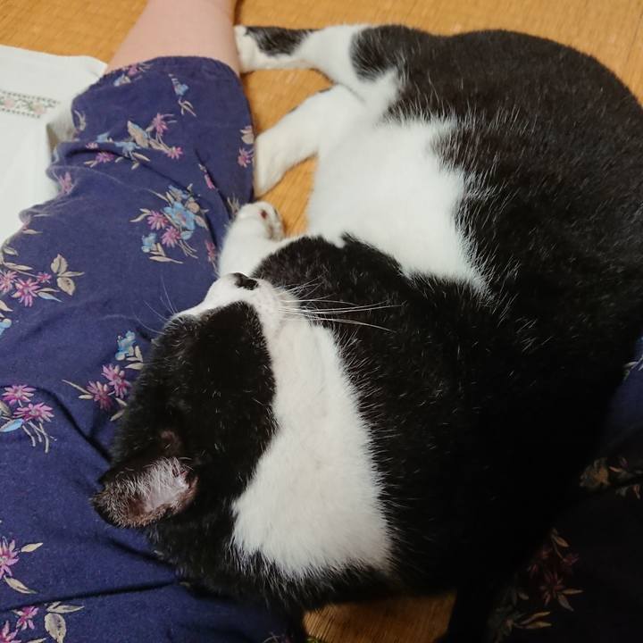 577a4bd4 1e03 467f 82f5 9d8ddca1e1c9 1601026862914