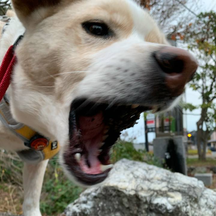 577a5571 8a0d 4448 afd3 0931dad23d91 1577328901930