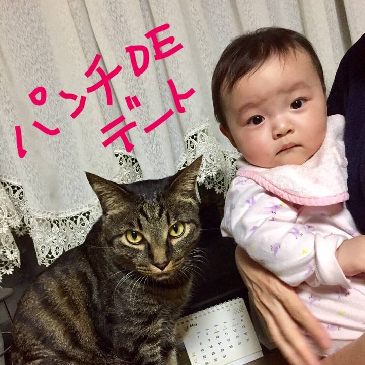 577a5603 8cca 46ee 92d6 3813f56e4249 1548779533221