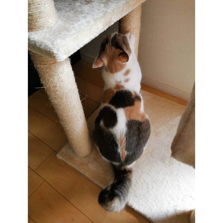 577a656a 6ba3 4ff0 aacc fc703e191d40 1632470207611