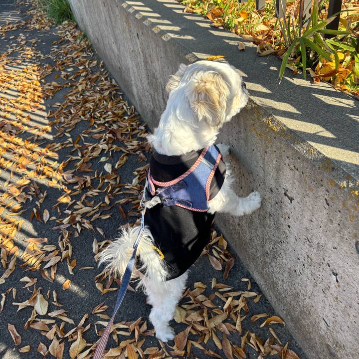 577a97a3 b193 4aa9 9cf3 cd009816cd69 1763329771194