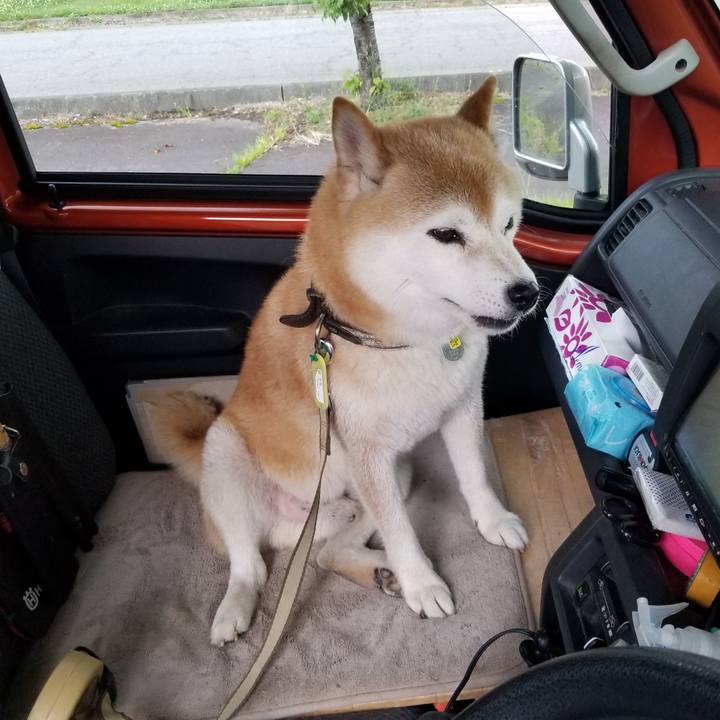 577a97e2 31c6 4017 9777 9b2aab924a27 1657867771457