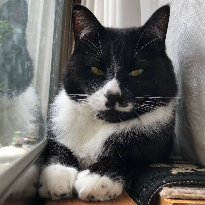 577a9fc4 a578 46e9 a4e2 106b3d32dc74 1620185632888