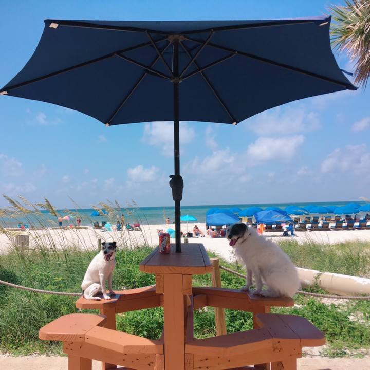 577ae676 c6f0 4c35 8a39 d861627d9a11 1562107361225