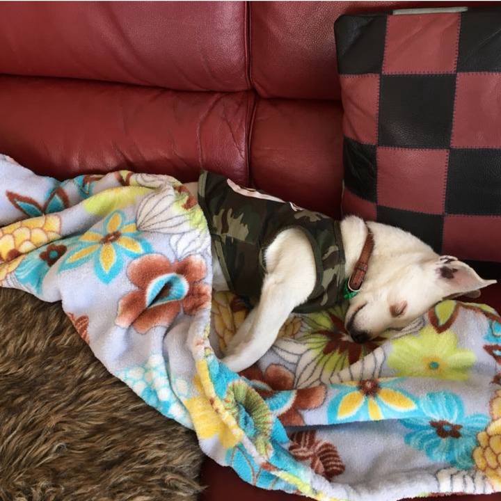 577b0710 e8bb 41a8 aa18 d6f02b6f9cb1 1760146458720