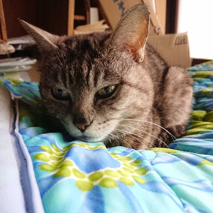 577b3f3e f8f4 4a5d 92aa e2bdfd553b19 1560891242390