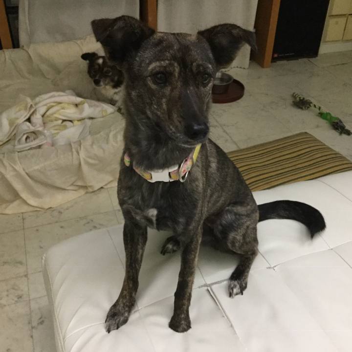 577b5414 56c9 4f34 b798 0d38de43febd 1546043024096