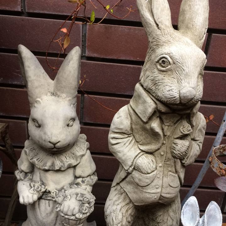 577b57f9 b646 4298 8096 4de08d94e275 1545452666638