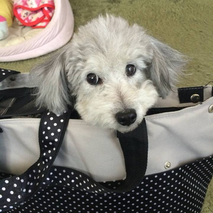 577b5e61 c5da 476e a39e c5c9ec602b2f 1738543537896