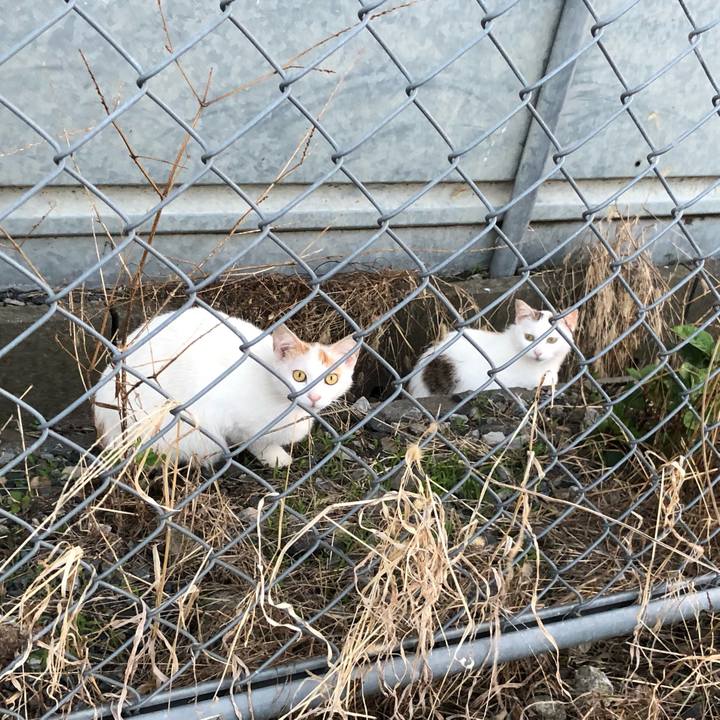 577b6141 0912 4605 992b 64ed7c0cd45c 1621772722752