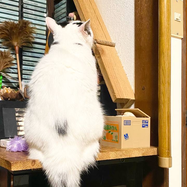 577b7535 93c6 49c8 ba22 935c17423b7b 1750930846212